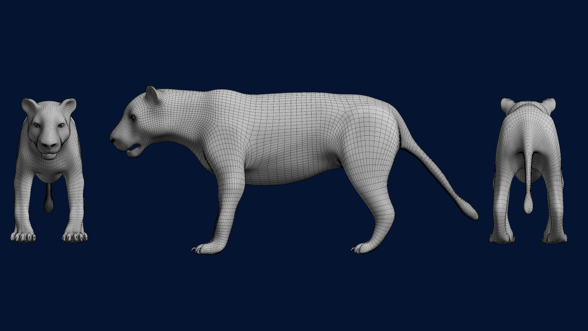 Tiger/Lion (Base Mesh Rigged) preview image 2